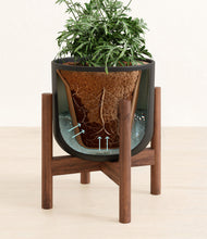 Load image into Gallery viewer, Stone Black stand:walnut