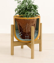 Load image into Gallery viewer, Sunset Orange stand:bamboo