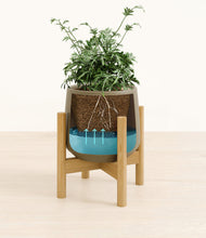 Load image into Gallery viewer, Olive stand:bamboo