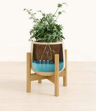 Load image into Gallery viewer, Almond Green stand:bamboo