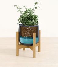 Load image into Gallery viewer, Deep Navy stand:bamboo