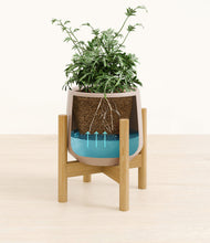 Load image into Gallery viewer, Eternal Gray stand:bamboo