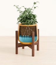 Load image into Gallery viewer, Mustard stand:walnut