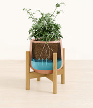 Load image into Gallery viewer, Calm Rose stand:bamboo