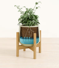 Load image into Gallery viewer, Turquoise stand:bamboo