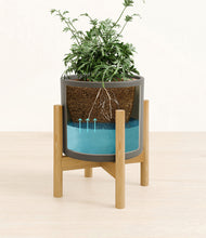 Load image into Gallery viewer, Dark Olive stand:bamboo