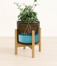 Load image into Gallery viewer, Black stand:bamboo