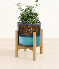 Load image into Gallery viewer, Deep Navy stand:bamboo