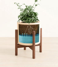 Load image into Gallery viewer, Cream stand:walnut