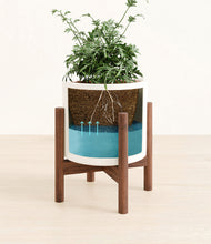 Load image into Gallery viewer, White stand:walnut