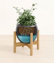 Load image into Gallery viewer, Deep Navy stand:bamboo