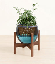 Load image into Gallery viewer, Deep Navy stand:walnut