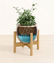 Load image into Gallery viewer, Desert Brown stand:bamboo