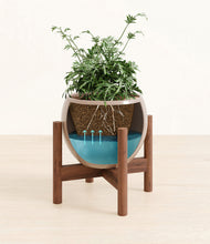 Load image into Gallery viewer, Desert Brown stand:walnut