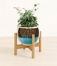 Load image into Gallery viewer, Shiny EggWhite stand:bamboo