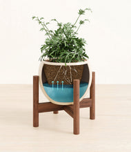 Load image into Gallery viewer, Shiny EggWhite stand:walnut