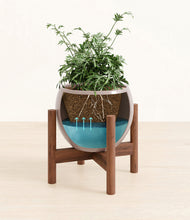 Load image into Gallery viewer, Winter Clouds stand:walnut