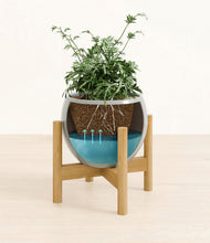 Load image into Gallery viewer, Deep Ocean stand:bamboo