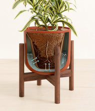 Load image into Gallery viewer, Earth Red stand:walnut