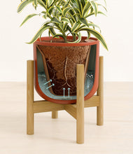 Load image into Gallery viewer, Earth Red stand:bamboo