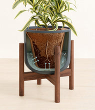 Load image into Gallery viewer, Iron Gray stand:walnut