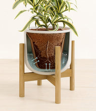 Load image into Gallery viewer, Natural Bamboo stand:bamboo