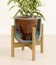 Load image into Gallery viewer, Sage Green stand:bamboo