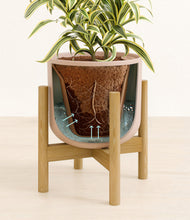 Load image into Gallery viewer, Sandy Pink stand:bamboo