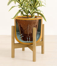 Load image into Gallery viewer, Sunset Orange stand:bamboo