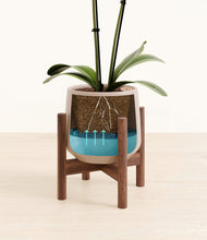 Load image into Gallery viewer, Eternal Gray stand:walnut