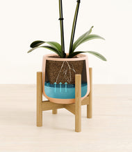 Load image into Gallery viewer, Gentle Pink stand:bamboo