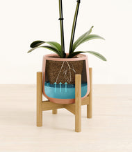 Load image into Gallery viewer, Calm Rose stand:bamboo