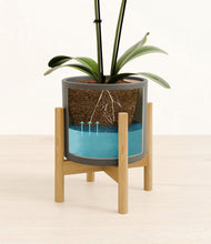 Load image into Gallery viewer, Dark Olive stand:bamboo