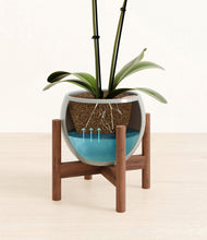 Load image into Gallery viewer, Deep Ocean stand:walnut