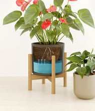 Load image into Gallery viewer, Forest Moss stand:one_stand