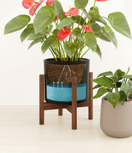 Load image into Gallery viewer, Hazy Skies stand:one_stand