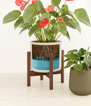 Load image into Gallery viewer, Mountain Ridge stand:one_stand