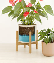 Load image into Gallery viewer, Rose Petal stand:one_stand