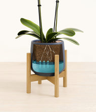 Load image into Gallery viewer, Deep Navy stand:bamboo