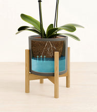 Load image into Gallery viewer, Dark Olive stand:bamboo