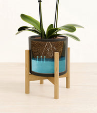 Load image into Gallery viewer, Black stand:bamboo