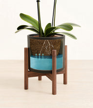 Load image into Gallery viewer, Black stand:walnut