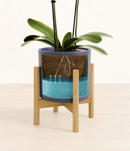 Load image into Gallery viewer, Deep Navy stand:bamboo