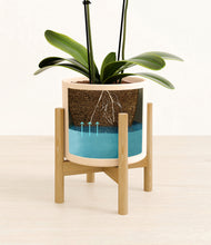 Load image into Gallery viewer, Cream stand:bamboo