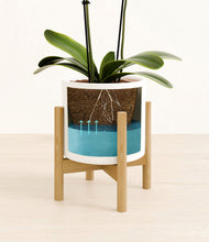 Load image into Gallery viewer, White stand:bamboo