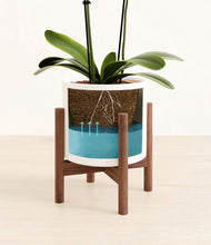 Load image into Gallery viewer, White stand:walnut