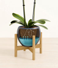 Load image into Gallery viewer, Deep Navy stand:bamboo