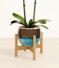 Load image into Gallery viewer, Desert Brown stand:bamboo