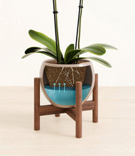 Load image into Gallery viewer, Desert Brown stand:walnut