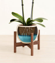 Load image into Gallery viewer, Shiny EggWhite stand:walnut